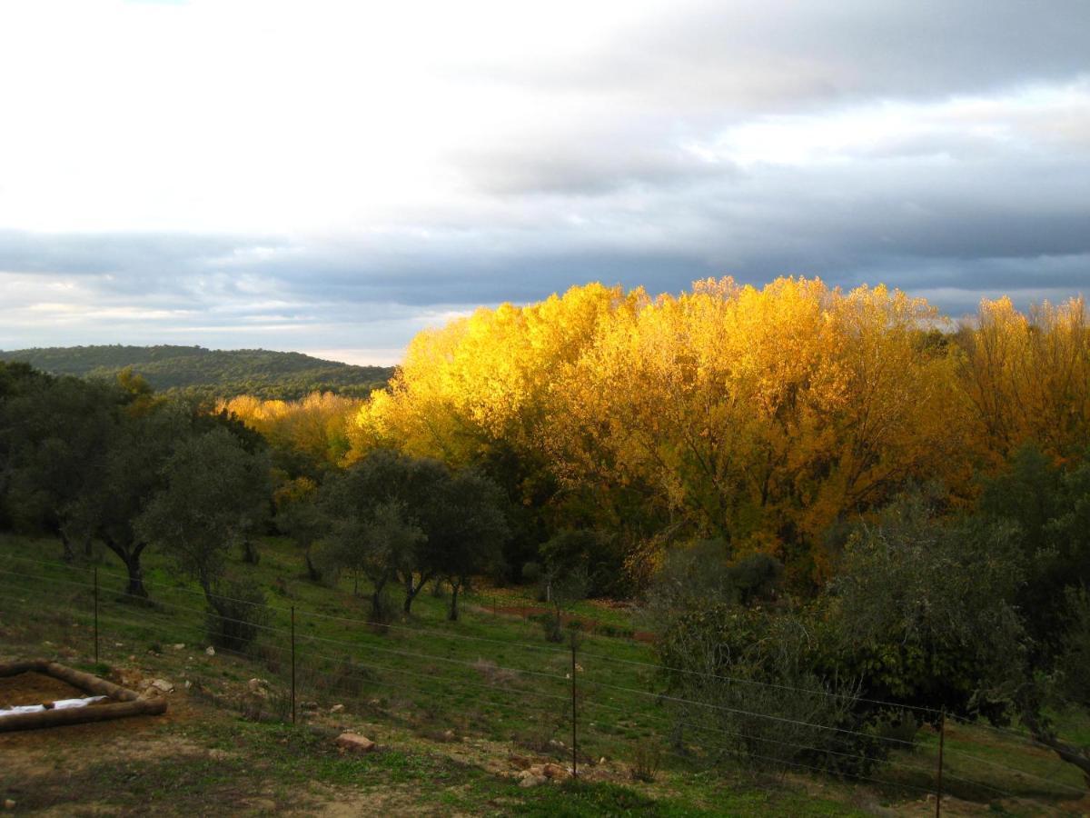 Willa Vivienda Rural Olivar Del Chanza Cortegana Zewnętrze zdjęcie